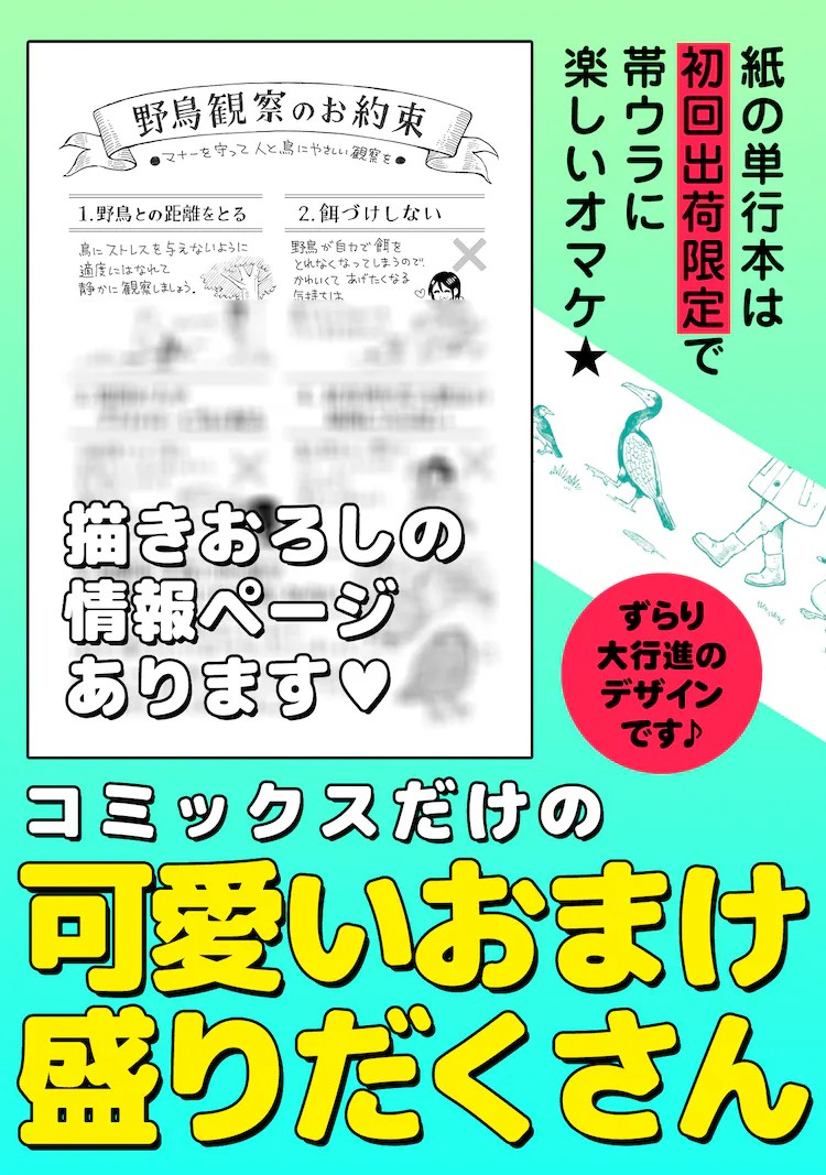 鳶田ハジメ的野鸟观察随笔《まいにち鳥びより》出版